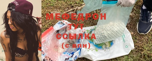 стаф Каменка