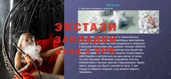 стаф Каменка