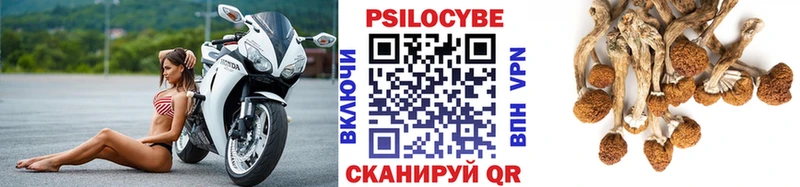 как найти   Ворсма  мега ONION  Галлюциногенные грибы GOLDEN TEACHER 